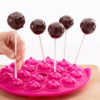 Molde Cake Pops